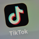 Image for article titled TikTok Hits Pause on Its Most Controversial Privacy Update Yet
